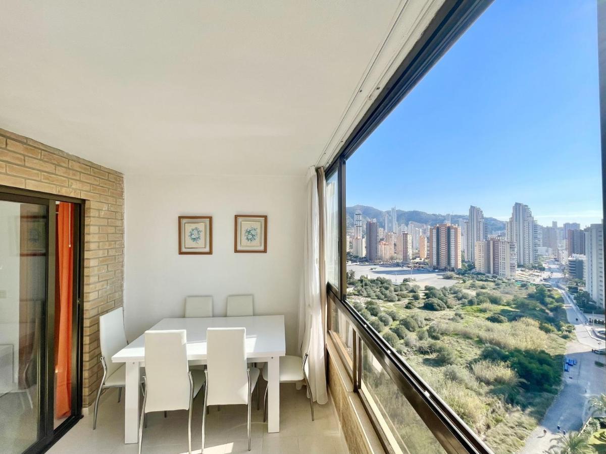 Paraiso 10 Blueline Daire *